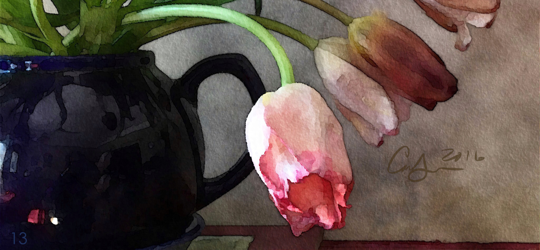 Crimson Tulips In The Breeze