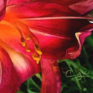 Homage to Georgia O'Keefe