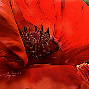 Scarlet Poppy