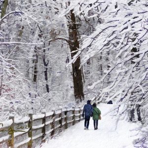 Christmas In The Glen