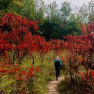 Woman Among The Sumachs